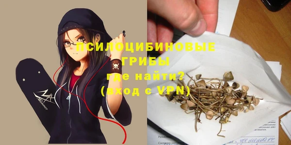 дурь Алексин